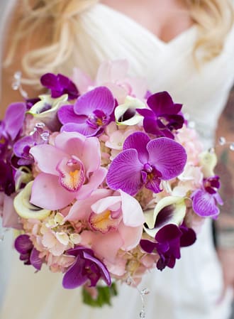 Bride Orchids